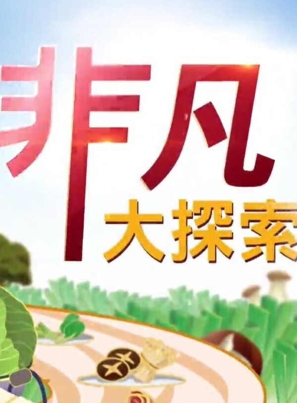 酒店偷拍流出乐橙云酒店安防摄像头近景偷拍小哥切换各自体位姿势操苗条女炮友 - 鸡鸭放纵海报
